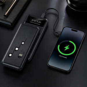Power Bank (10,000 mAh)